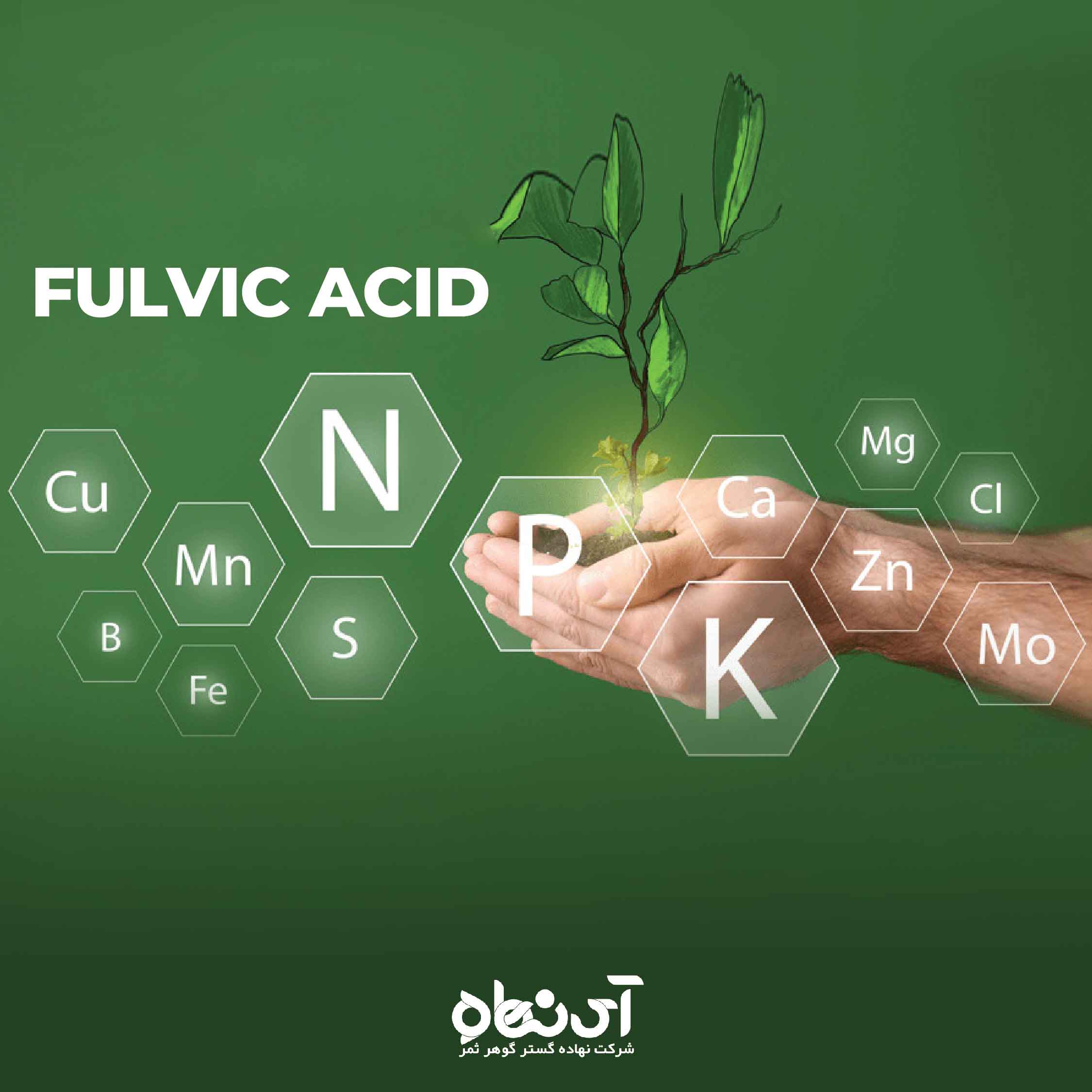 اسید فولویک چیست؟